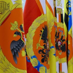 Выставка «Знамёна России». 9-12 июня 2017 г.